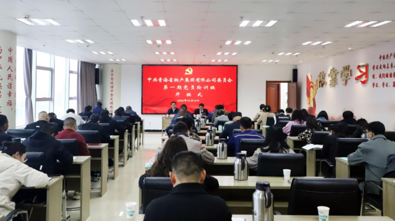 鑄魂強(qiáng)基 聚力賦能&mdash;&mdash;集團(tuán)黨委2024年第一期黨員輪訓(xùn)班圓滿結(jié)束